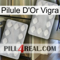 Vigra Gold Pill 17